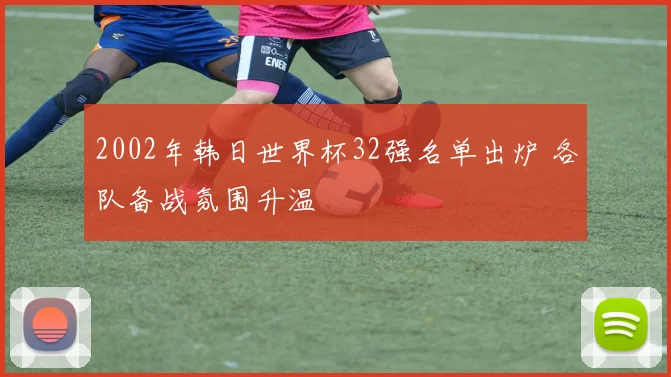 2002年韩日世界杯32强名单出炉 各队备战氛围升温